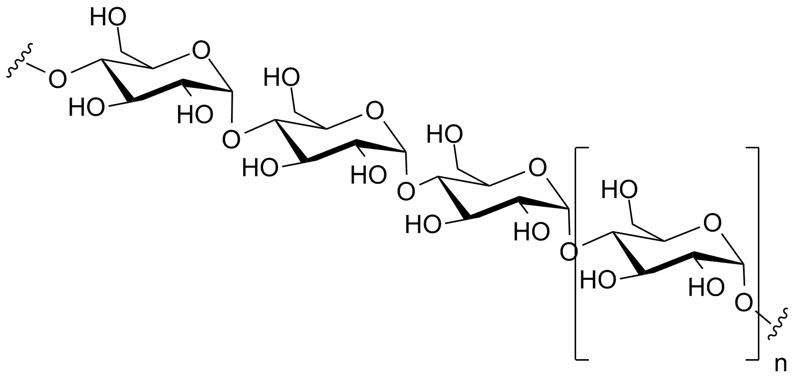 Polysaccharides. Синтез полисахаридов. Гликоген формула. Structure of Polysaccharide.